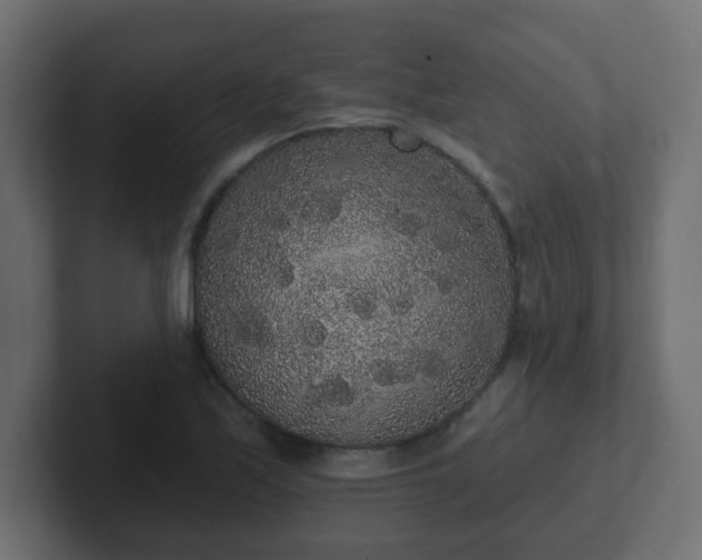 X0000102811171200808251103