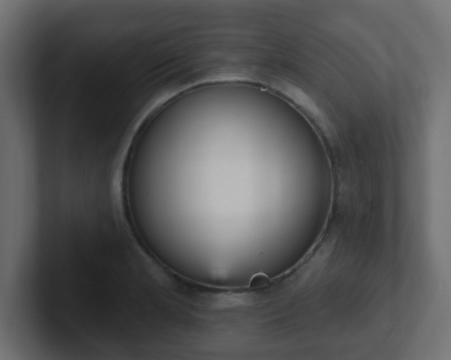 X0000102811181200808251103