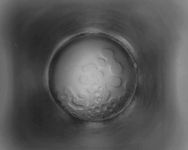 X0000102811183200808251103