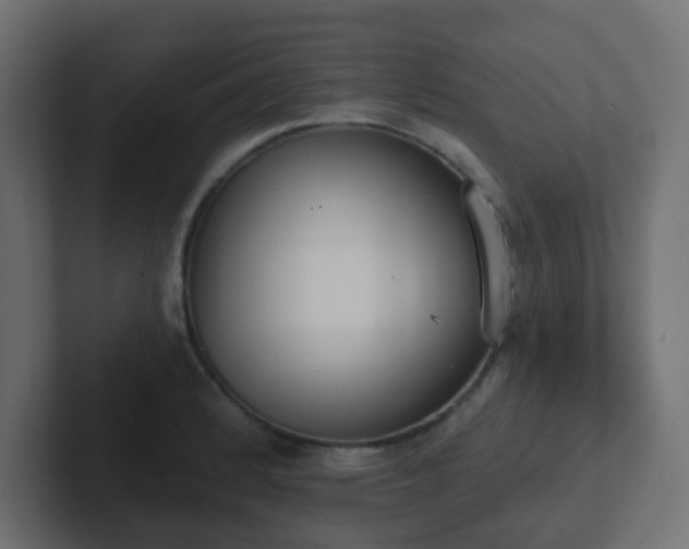 X0000102811184200808251103