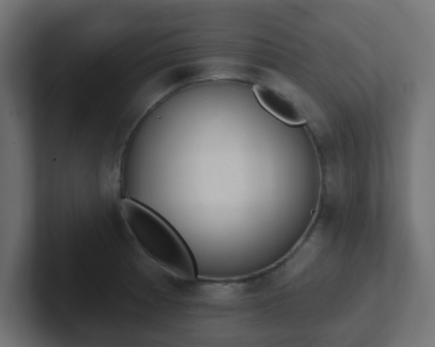 X0000102811185200808251103