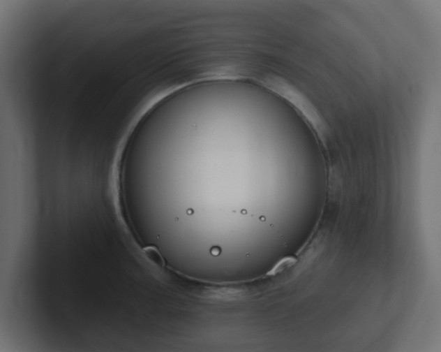 X0000102811187200808251103