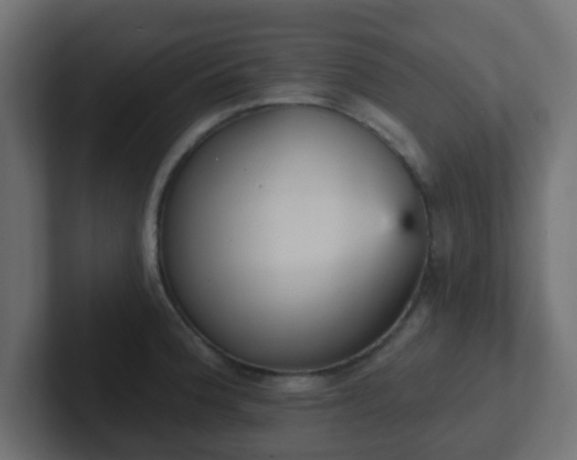 X0000102811188200808251103