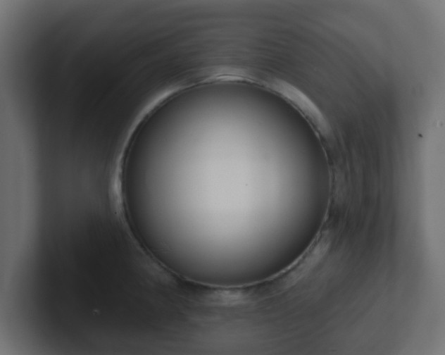 X0000102811190200808251103