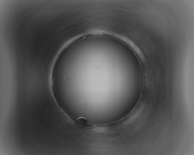 X0000102811191200808251103