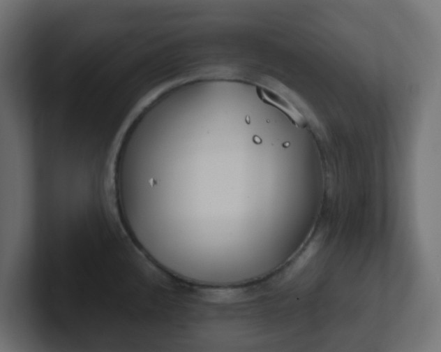 X0000102811192200808251103