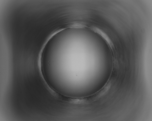 X0000102811195200808251103