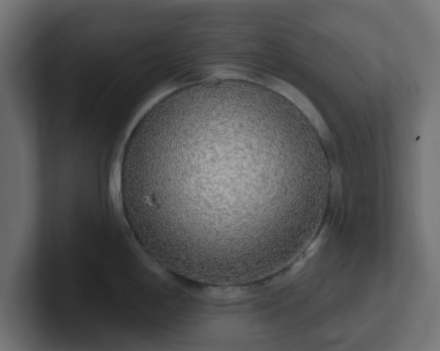 X0000102811198200808251103