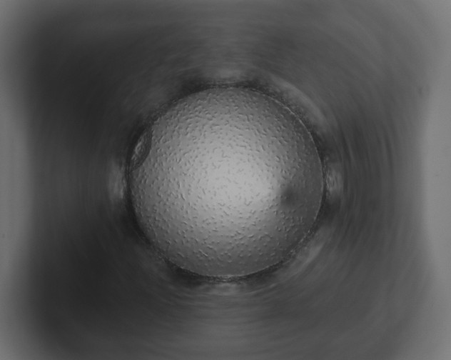 X0000102811204200808251102