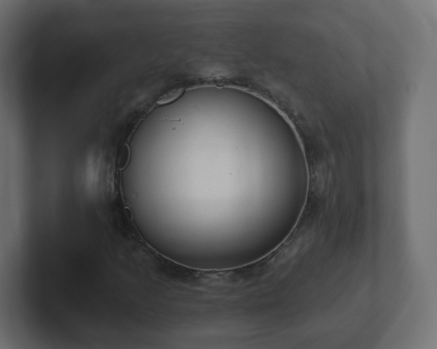 X0000102811205200808251102