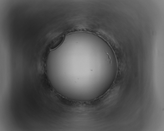 X0000102811207200808251102