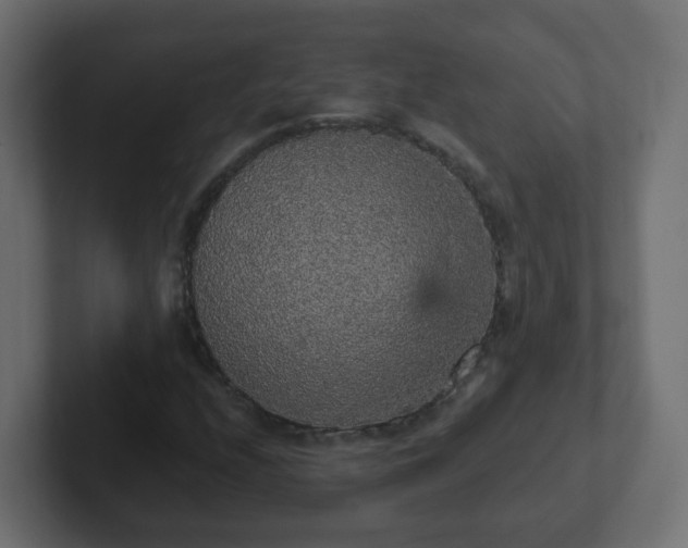 X0000102811208200808251102