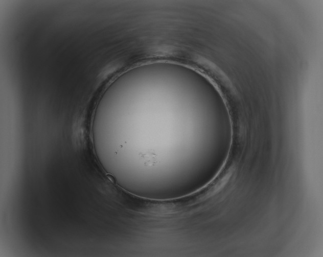 X0000102811210200808251102