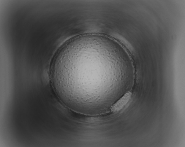 X0000102811212200808251102