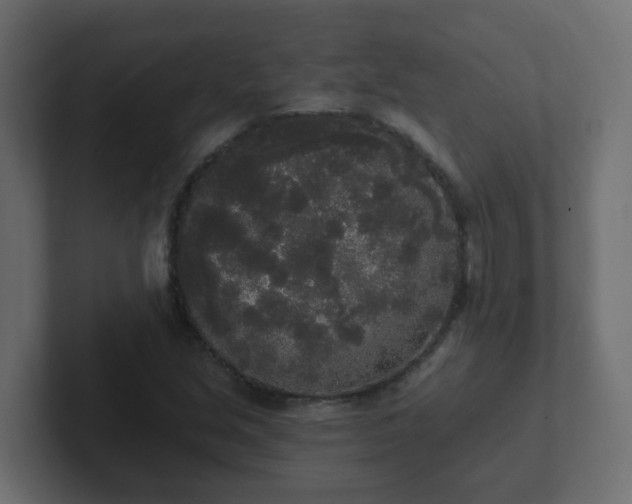 X0000102811213200808251102