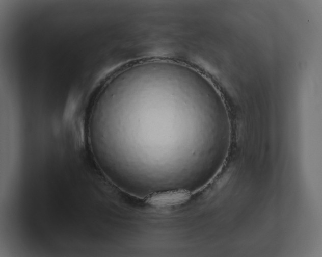 X0000102811214200808251102