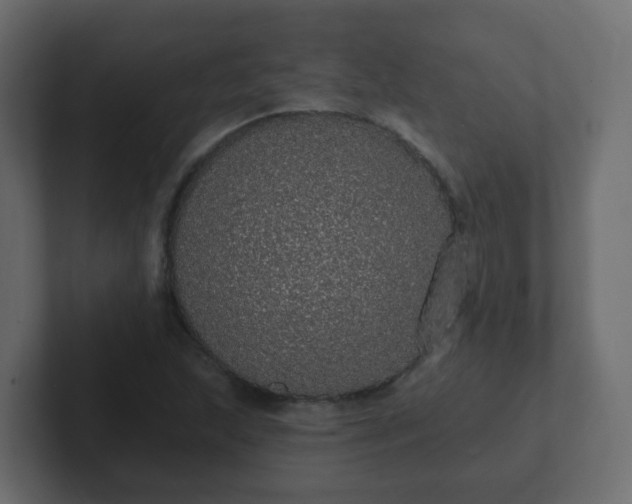 X0000102811215200808251102