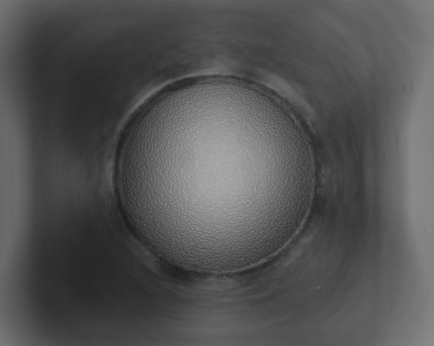 X0000102811216200808251102