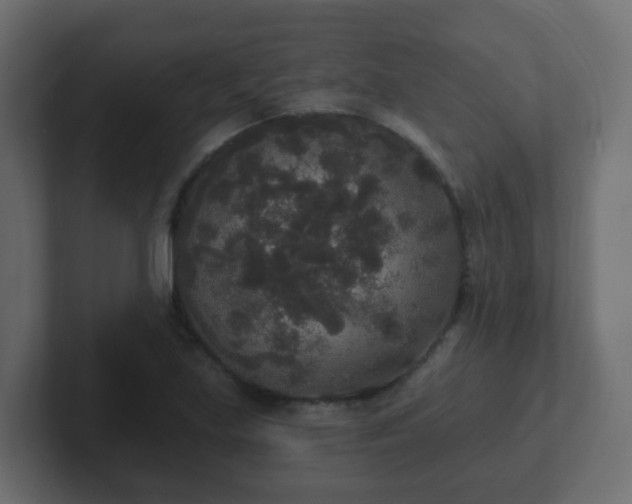 X0000102811219200808251102