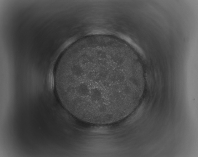 X0000102811221200808251102