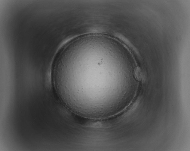 X0000102811222200808251102