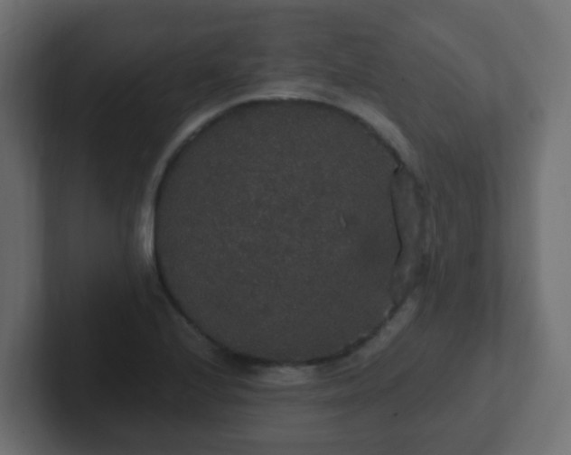 X0000102811224200808251102