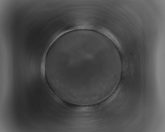 X0000102811228200808251102