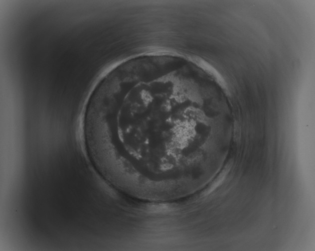 X0000102811231200808251102