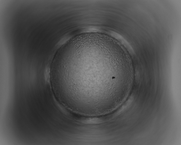 X0000102811233200808251102