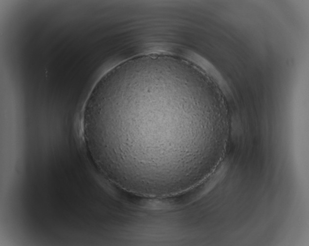 X0000102811234200808251102