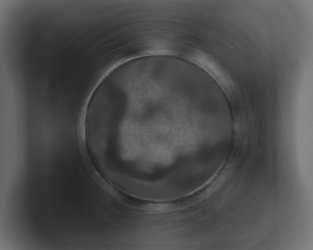 X0000102811236200808251103