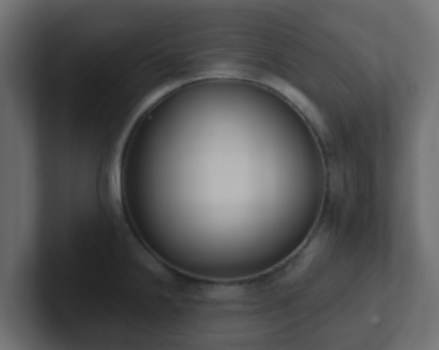 X0000102811238200808251103