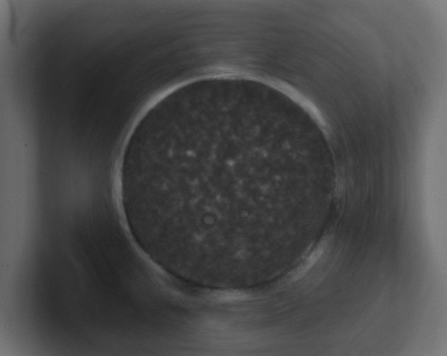 X0000102811239200808251103