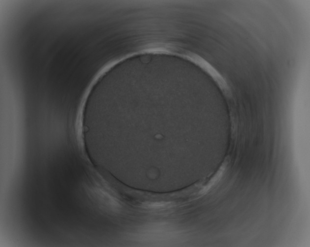 X0000102811240200808251103