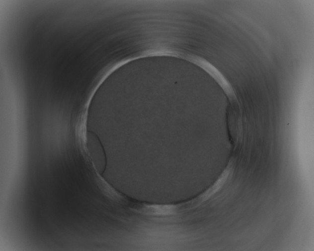 X0000102811244200808251103