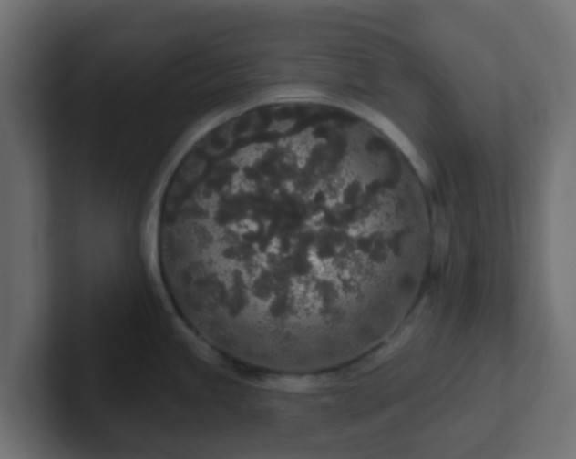 X0000102811245200808251103