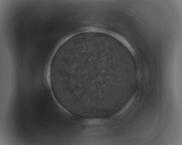 X0000102811247200808251103