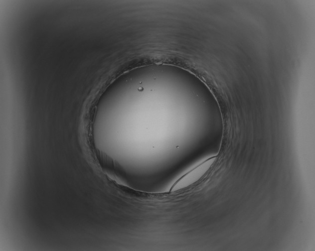 X0000102811249200808251102