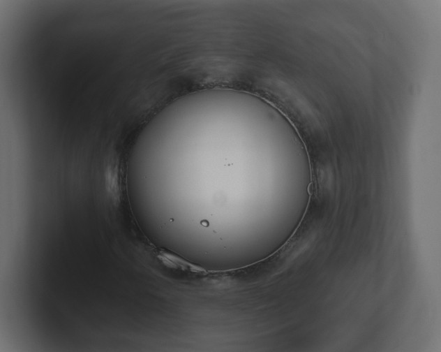 X0000102811250200808251102