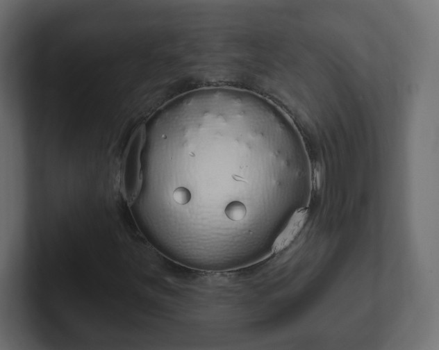 X0000102811251200808251102