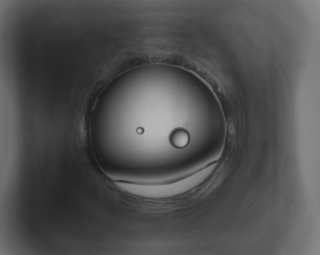 X0000102811252200808251102