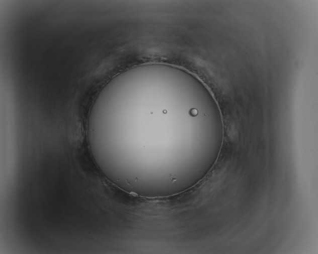 X0000102811253200808251102