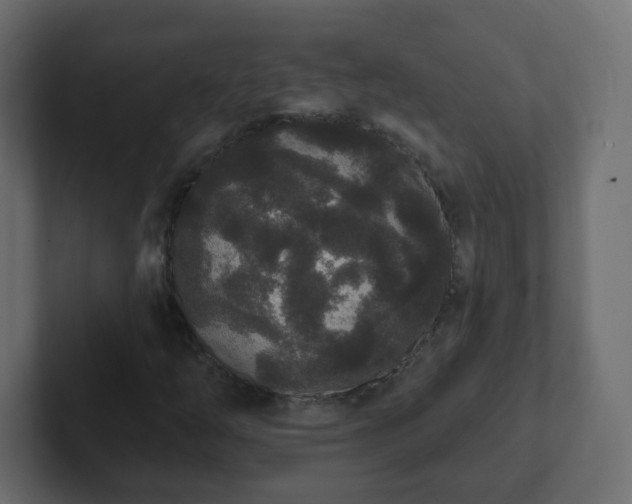 X0000102811254200808251102