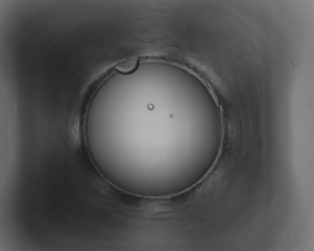 X0000102811262200808251102