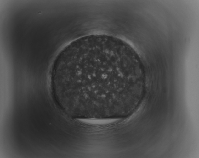 X0000102811263200808251102