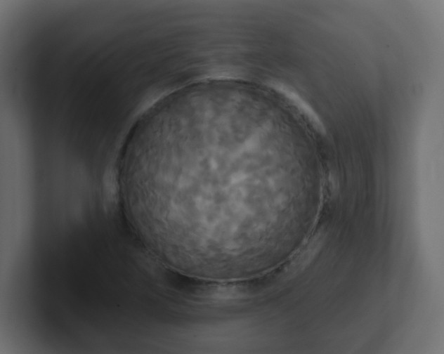 X0000102811266200808251102