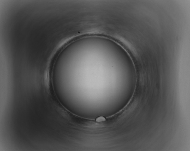 X0000102811270200808251102