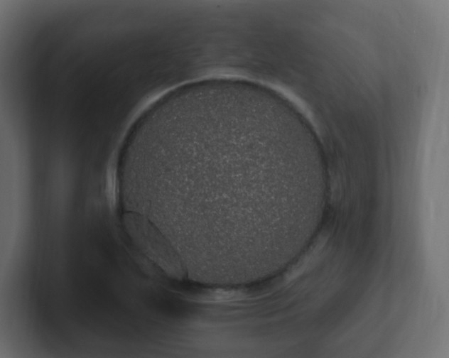 X0000102811271200808251102