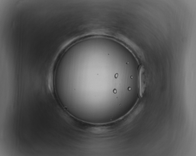 X0000102811272200808251102