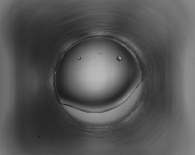 X0000102811273200808251102